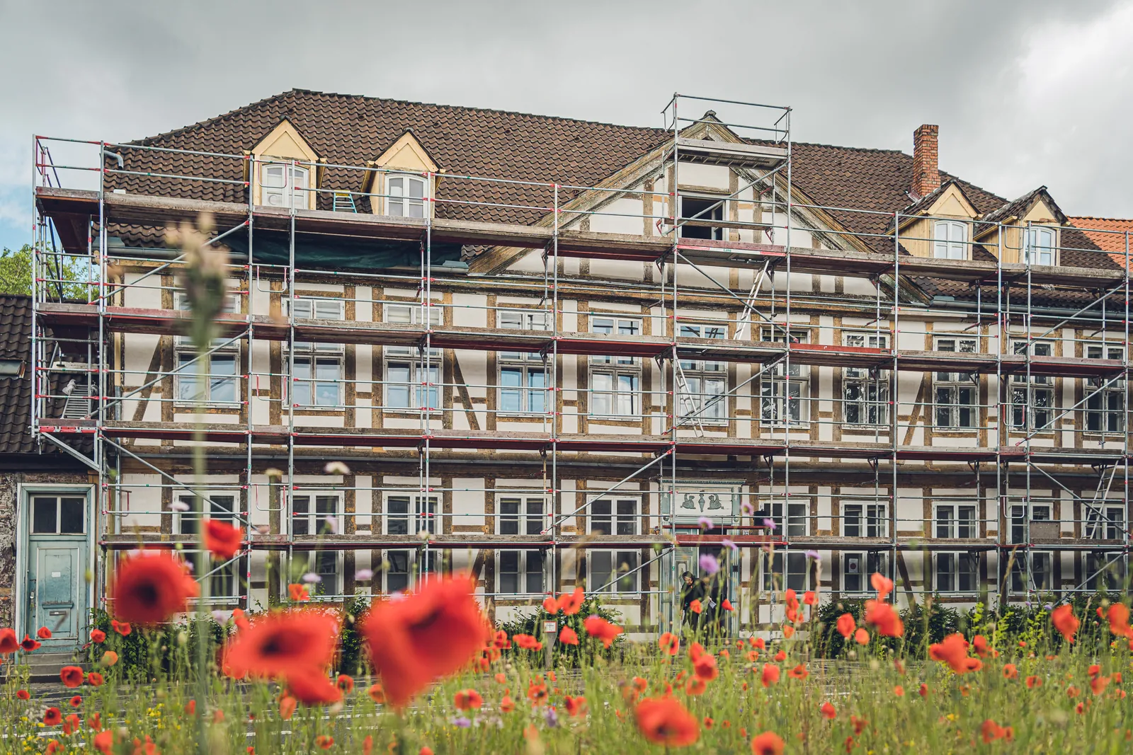 Das Haus in der Trift 32: Fachwerkfassade hinter blühendem Mohn, ein Gerüst steht an der Front.